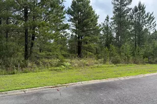0 59 Big Horse Dr, Waynesville, GA 31566 - Photo 1