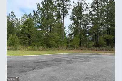 0.59 Big Horse Drive, Waynesville, GA 31566 - Photo 3