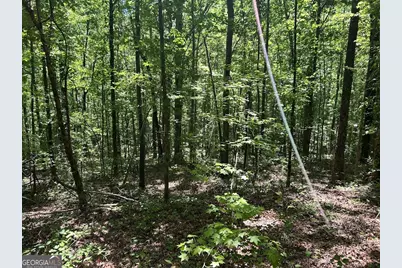 0 Old Draketown Trail, Temple, GA 30179 - Photo 5