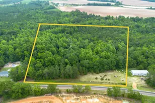 0 Carters Bridge Rd, Claxton, GA 30417 - Photo 1