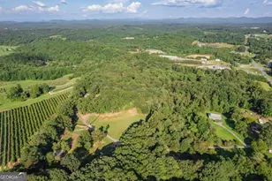 270 Stone Ln, Blue Ridge, GA 30513 - Photo 71