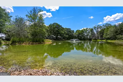 0 Ritch Church Road, Screven, GA 31560 - Photo 43