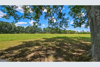 0 Ritch Church Road, Screven, GA 31560 - Photo 39