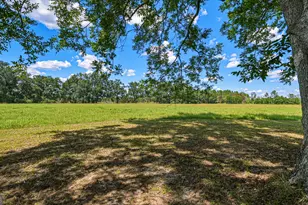 0 Ritch Church Rd, Screven, GA 31560 - Photo 39