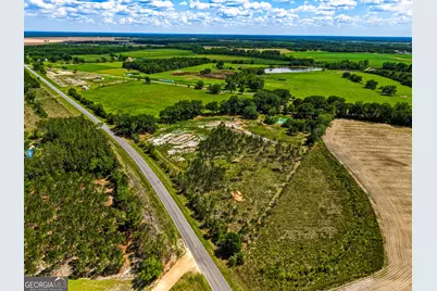 0 Ritch Church Road, Screven, GA 31560 - Photo 3