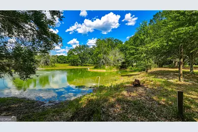 0 Ritch Church Road, Screven, GA 31560 - Photo 15