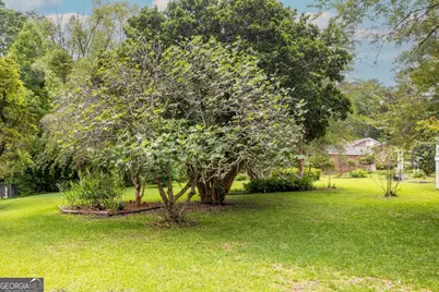 311 Hartford Road E, Fort Gaines, GA 39851 - Photo 13