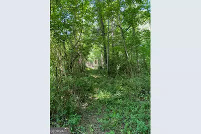 0 Hardman Road, Sautee, GA 30571 - Photo 5