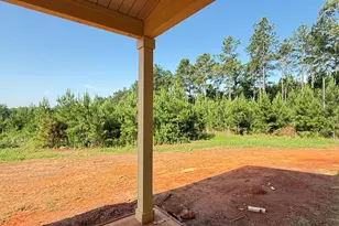 753 Hopewell Rd, Forsyth, GA 31029 - Photo 29