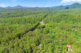 59 ROLLING Hls Dr, Sautee Nacoochee, GA 30571 - Photo 43