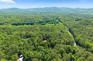 59 ROLLING Hls Dr, Sautee Nacoochee, GA 30571 - Photo 45