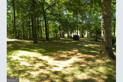 2627 Cole Road, Carnesville, GA 30521 - Photo 41
