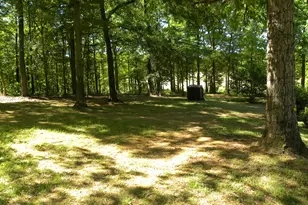 2627 Cole Rd, Carnesville, GA 30521 - Photo 41
