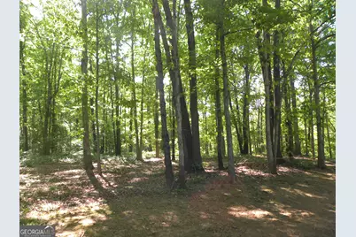 2627 Cole Road, Carnesville, GA 30521 - Photo 35