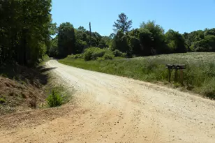 2627 Cole Rd, Carnesville, GA 30521 - Photo 51