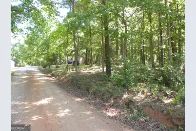 2627 Cole Road, Carnesville, GA 30521 - Photo 49