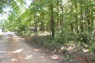 2627 Cole Rd, Carnesville, GA 30521 - Photo 49