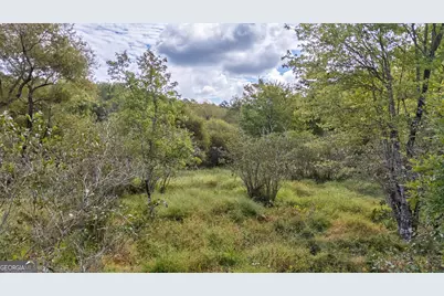 0 Old Salem Rd Tract 2, 3, 4, Watkinsville, GA 30677 - Photo 11