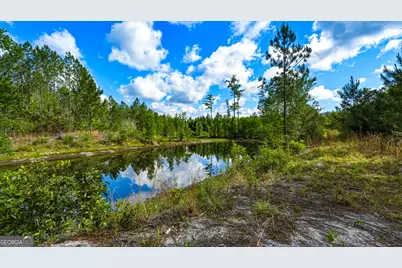 88 Minnesota Road, Screven, GA 31560 - Photo 43