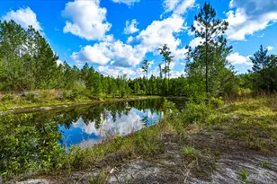 88 Minnesota Rd, Screven, GA 31560 - Photo 43