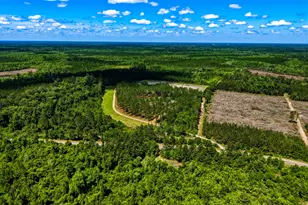 88 Minnesota Rd, Screven, GA 31560 - Photo 3