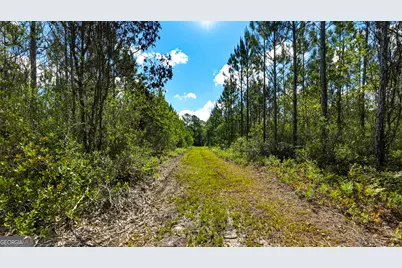 88 Minnesota Road, Screven, GA 31560 - Photo 47