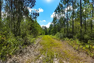 88 Minnesota Rd, Screven, GA 31560 - Photo 47