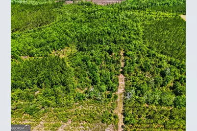 88 Minnesota Road, Screven, GA 31560 - Photo 13