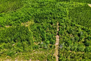 88 Minnesota Rd, Screven, GA 31560 - Photo 13