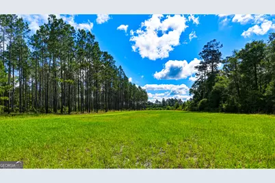 88 Minnesota Road, Screven, GA 31560 - Photo 49