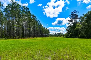 88 Minnesota Rd, Screven, GA 31560 - Photo 49