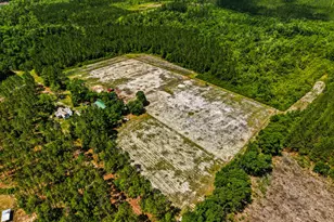 88 Minnesota Rd, Screven, GA 31560 - Photo 5