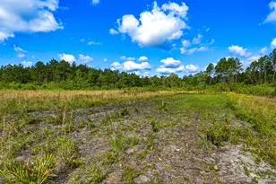 88 Minnesota Rd, Screven, GA 31560 - Photo 45
