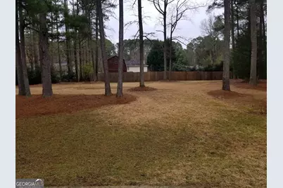 111 Bowmoor Bank, Peachtree City, GA 30269 - Photo 11
