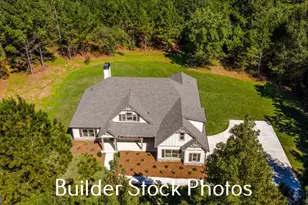 823 Hopewell Rd, Forsyth, GA 31029 - Photo 33