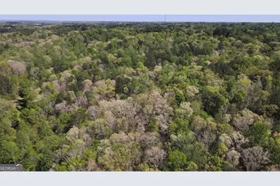 0 Crane Mountain Road, Toccoa, GA 30577 - Photo 3