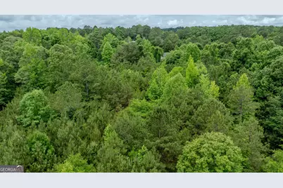 0 Almond Road, Franklin, GA 30217 - Photo 9