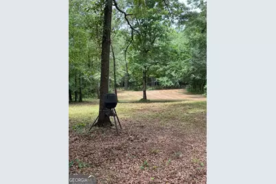 646 Lakeside Road, Williamson, GA 30292 - Photo 19