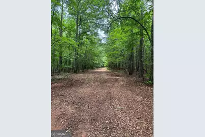 646 Lakeside Road, Williamson, GA 30292 - Photo 3