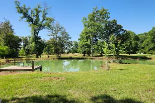 246 Melton Mill Rd, Dawson, GA 39842 - Photo 5