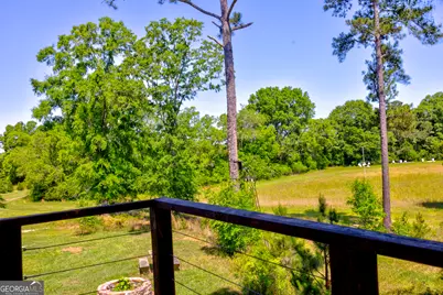 246 Melton Mill Road, Dawson, GA 39842 - Photo 19
