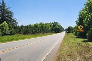246 Melton Mill Rd, Dawson, GA 39842 - Photo 73