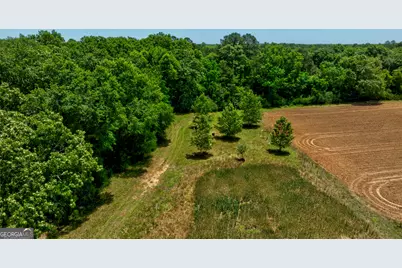 246 Melton Mill Road, Dawson, GA 39842 - Photo 49