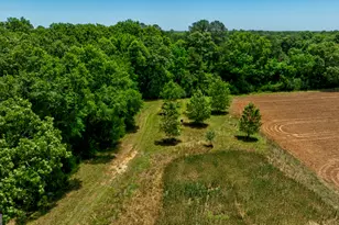 246 Melton Mill Rd, Dawson, GA 39842 - Photo 49