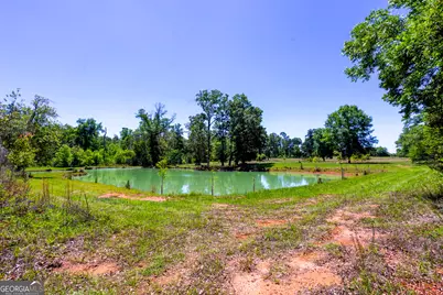 246 Melton Mill Road, Dawson, GA 39842 - Photo 45