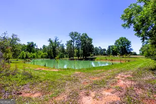 246 Melton Mill Rd, Dawson, GA 39842 - Photo 45
