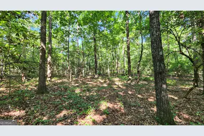 246 Melton Mill Road, Dawson, GA 39842 - Photo 9