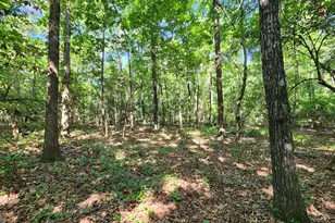 246 Melton Mill Rd, Dawson, GA 39842 - Photo 9