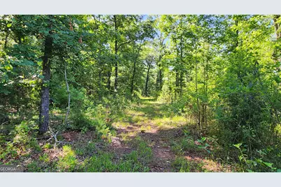 246 Melton Mill Road, Dawson, GA 39842 - Photo 61