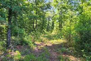 246 Melton Mill Rd, Dawson, GA 39842 - Photo 61